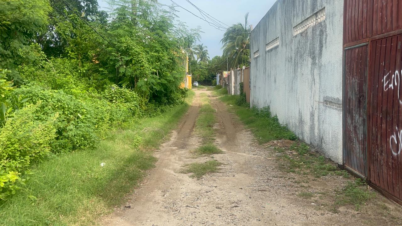 Pavimentación de calle Rosas