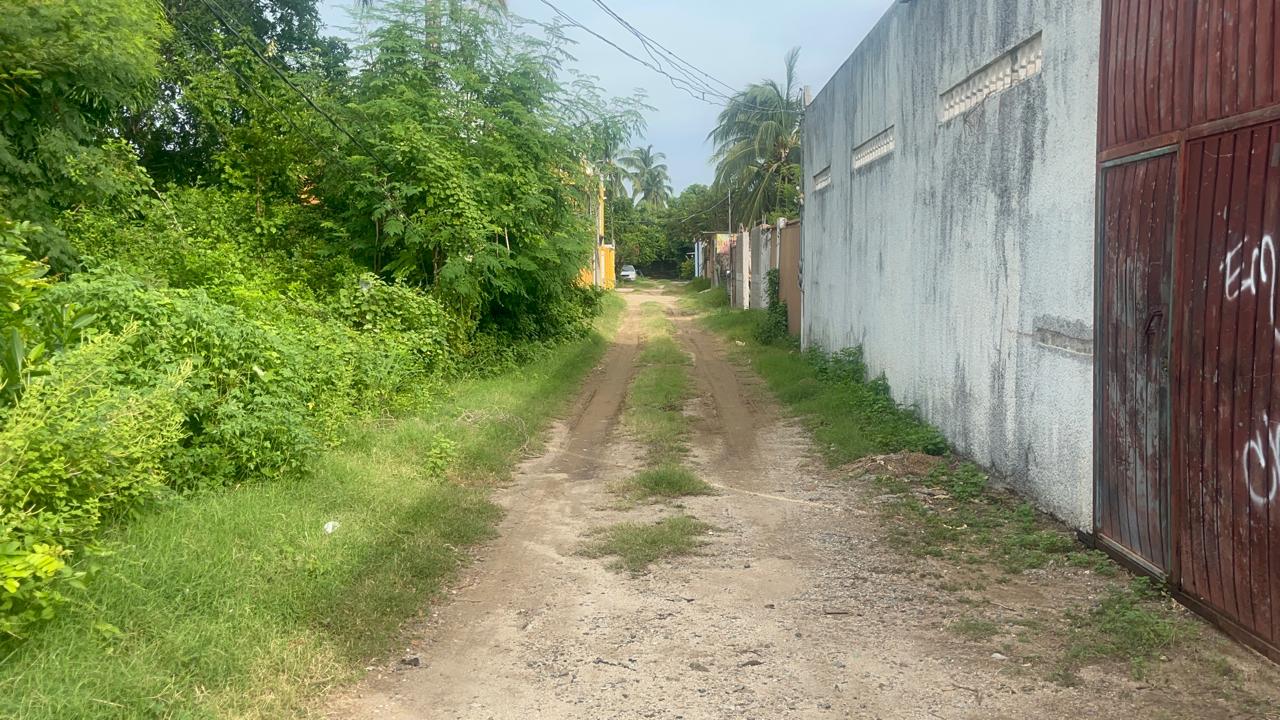 Pavimentación de calle Rosas