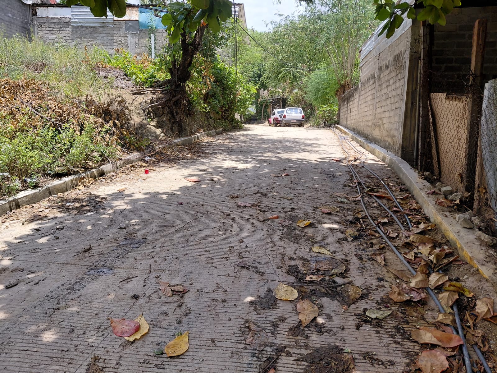 Pavimentación de Andador Arroyo Seco, Colonia Izazaga