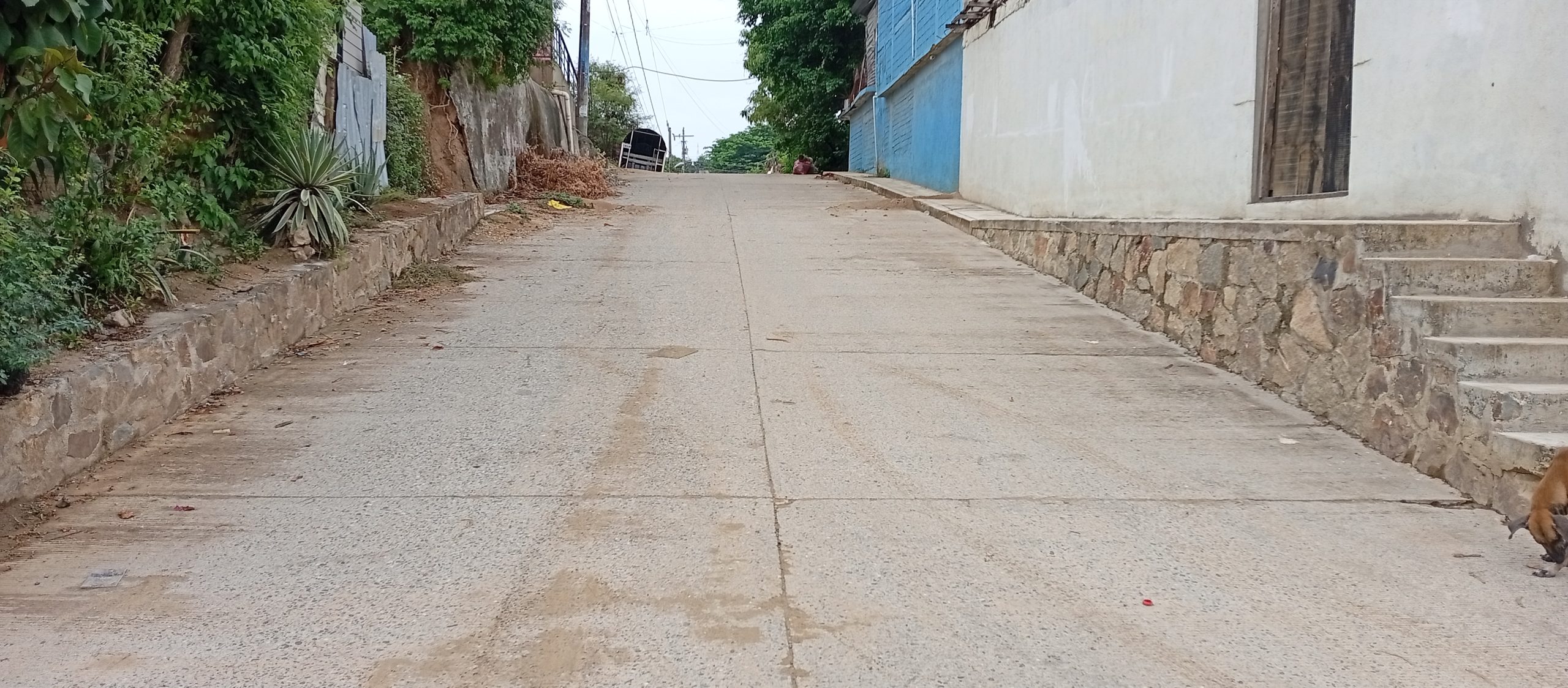 Pavimentación de Calle Orquídea, Colonia Ampliación Jacaranda