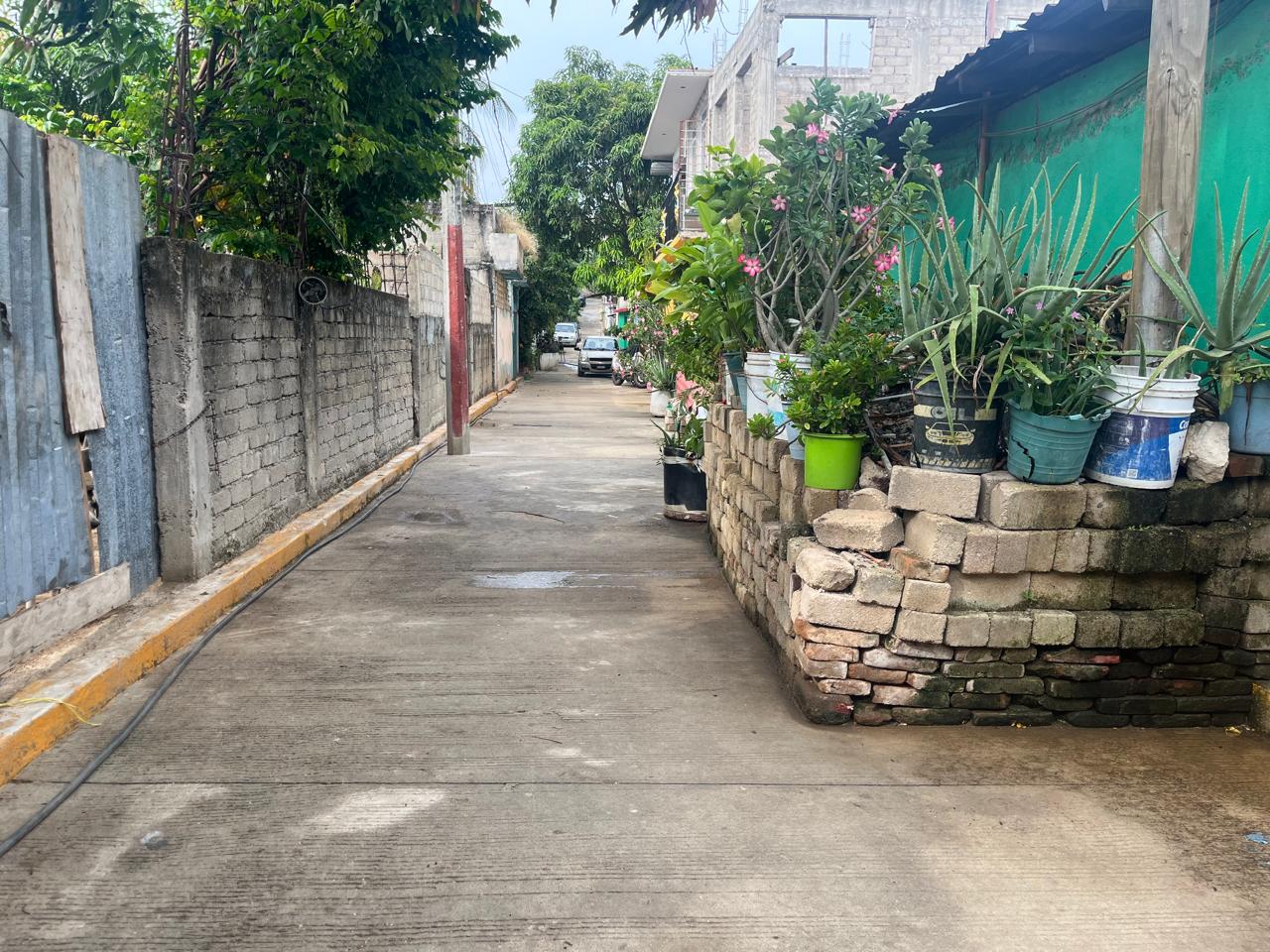 Ampliación de Andador Florida entronque con Calle Pino Suárez