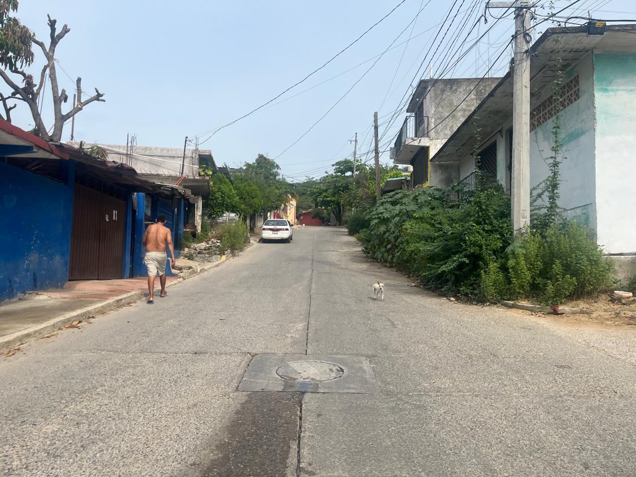 Ampliación de Pavimentación de Avenida Vicente Guerrero - Foto 1