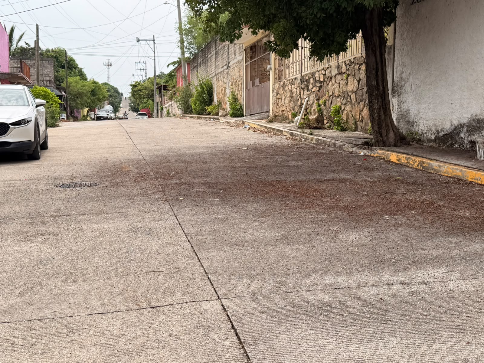 Construcción de drenaje sanitario en Calle María de la O, Col. Los Lirios
