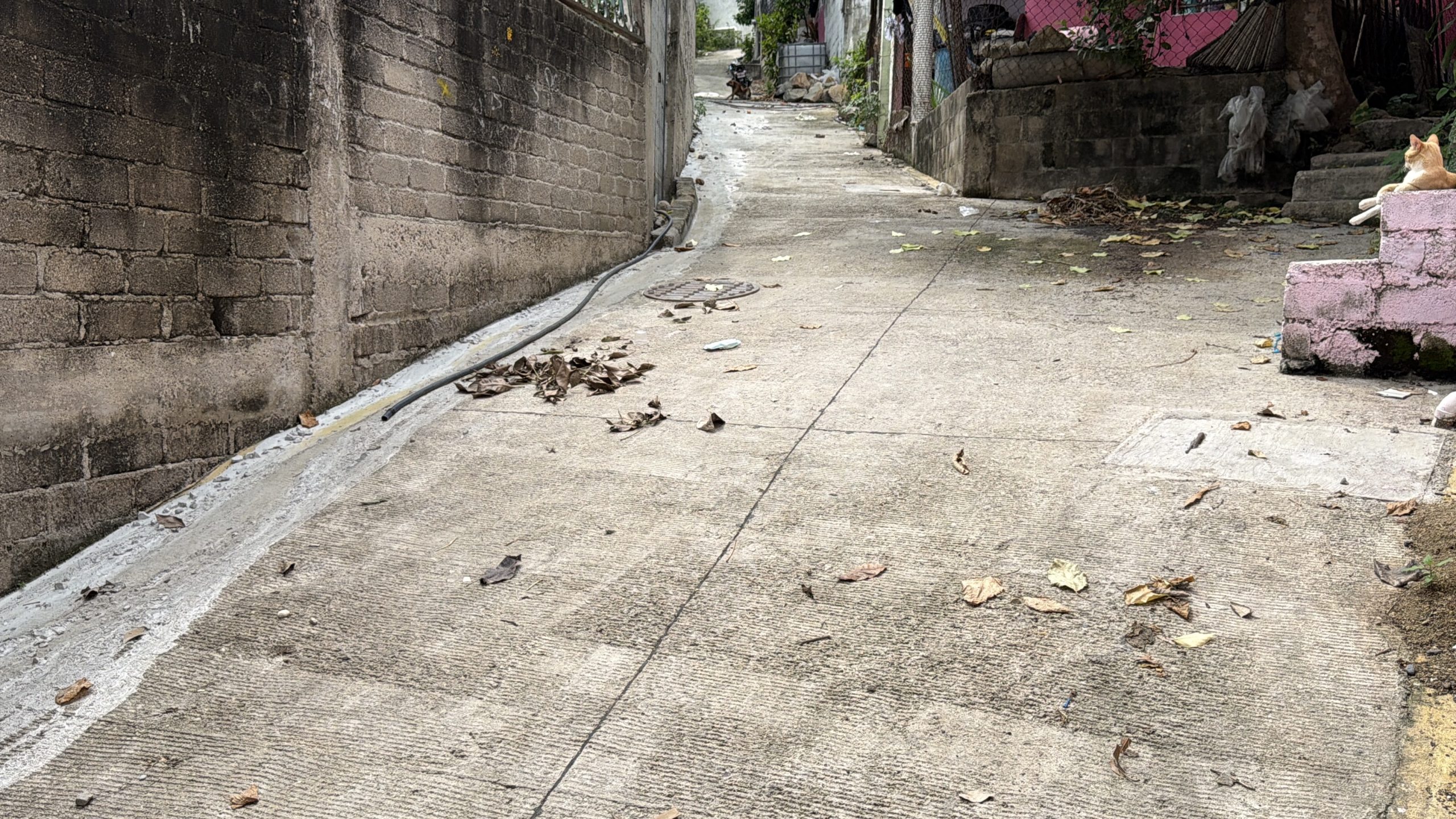 Evidencia fotográfica de la obra 55 del Distrito 6